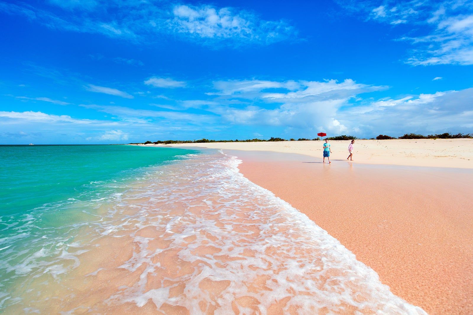 Wide view of Barbuda's pink sand beach with palm trees and turquoise water